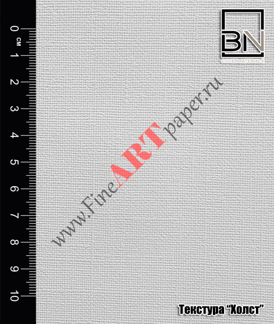 BN international BN international DigiFort P300 13005 Canvas