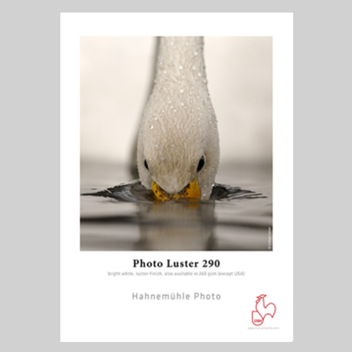Hahnemuhle Photo Luster 260gsm