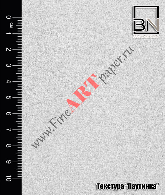BN international BN international DigiFort P300 13003 Dust 